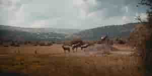 Rwanda